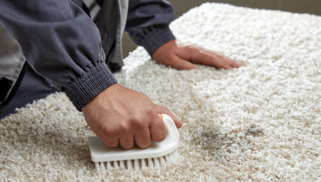 Professional Rug Cleaning Merlynston